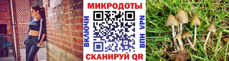 мега зеркало  Заречный  Псилоцибиновые грибы MAGIC MUSHROOMS 