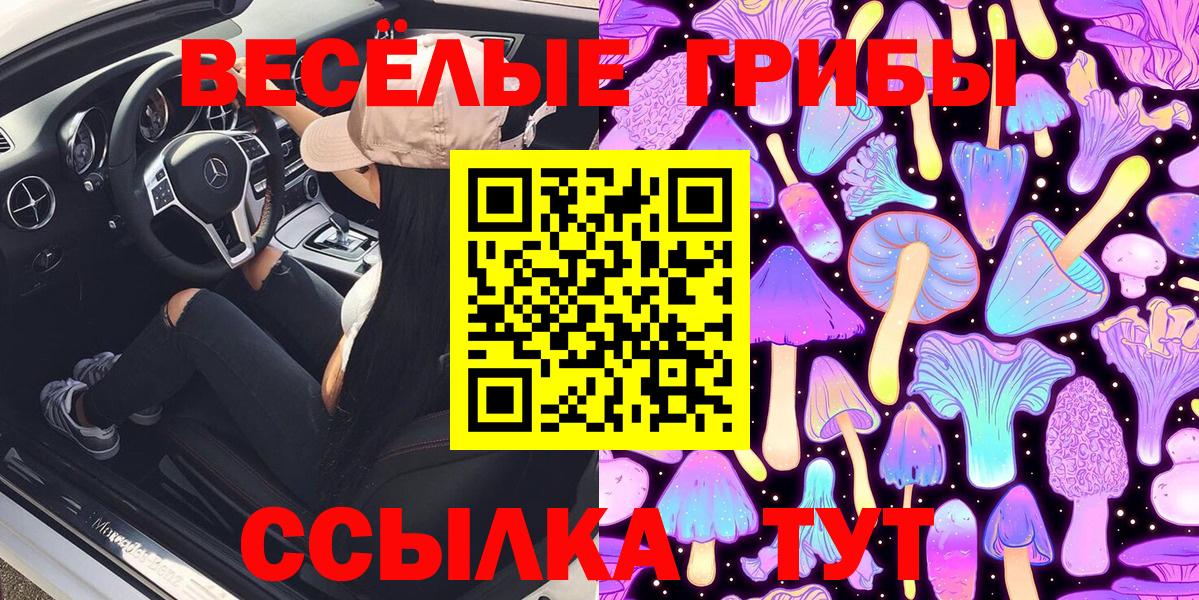 Галлюциногенные грибы GOLDEN TEACHER Заречный