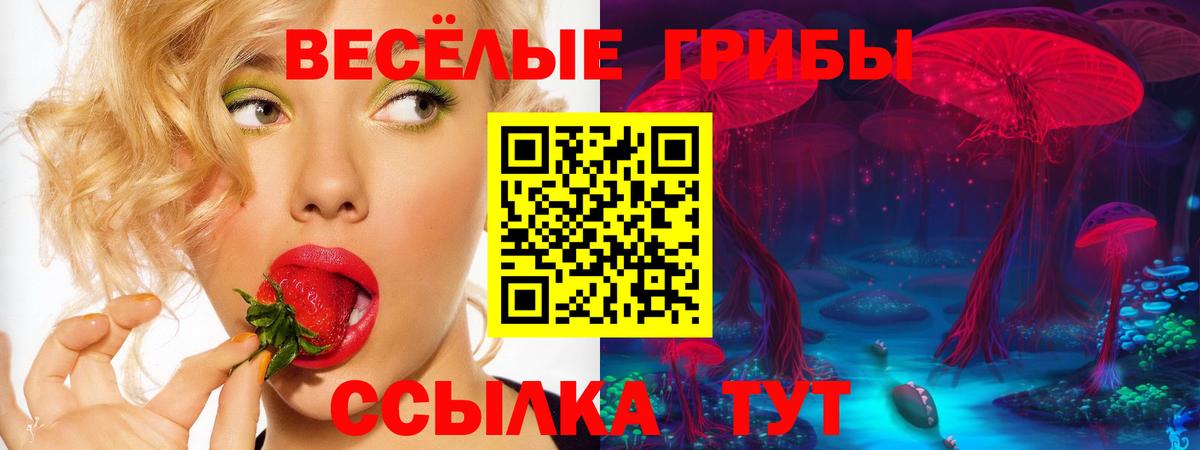 Заречный  продажа наркотиков  Галлюциногенные грибы мухоморы  Вход с VPN  Галлюциногенные грибы Cubensis 