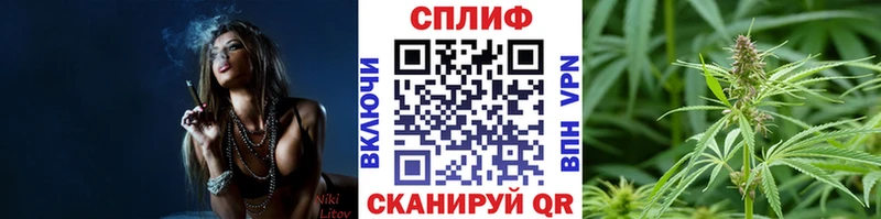 продажа наркотиков  Заречный  Бошки марихуана сатива 